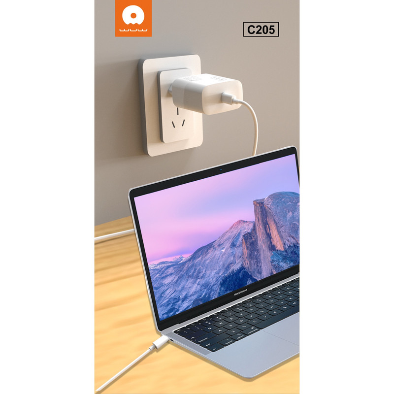شارژر دیواری 45 وات دبلیو یو دبلیو مدل C202 به همراه کابل تبدیل USB-C